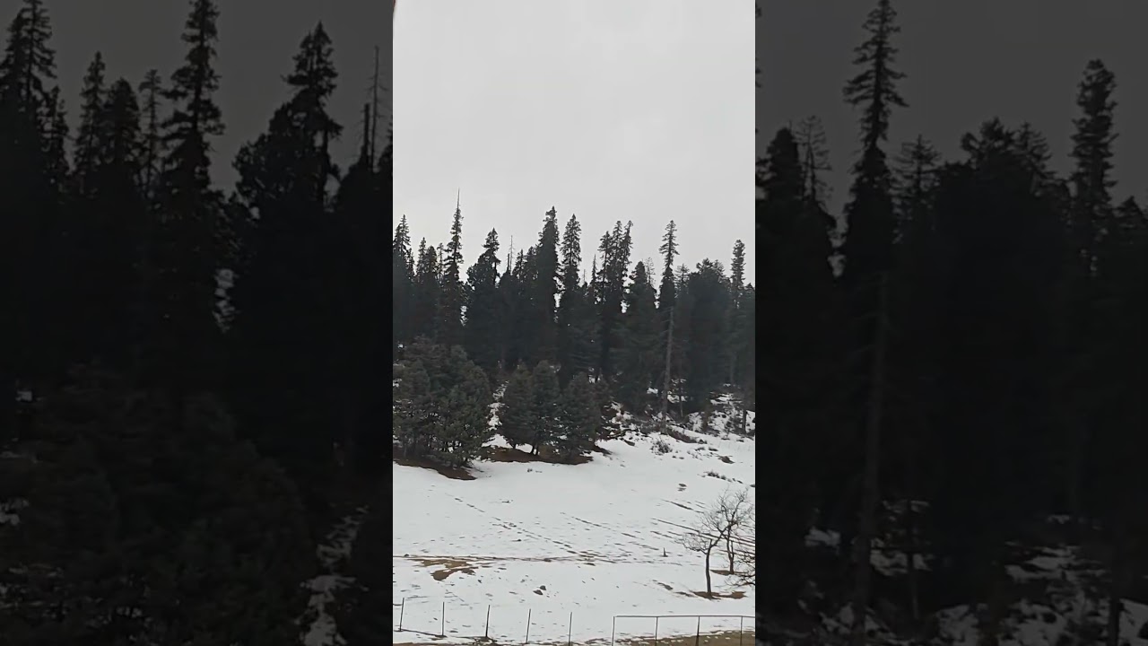 #Natureofkashmir#subscribe #love #like #comment #shortvideo #shortsfeed #share