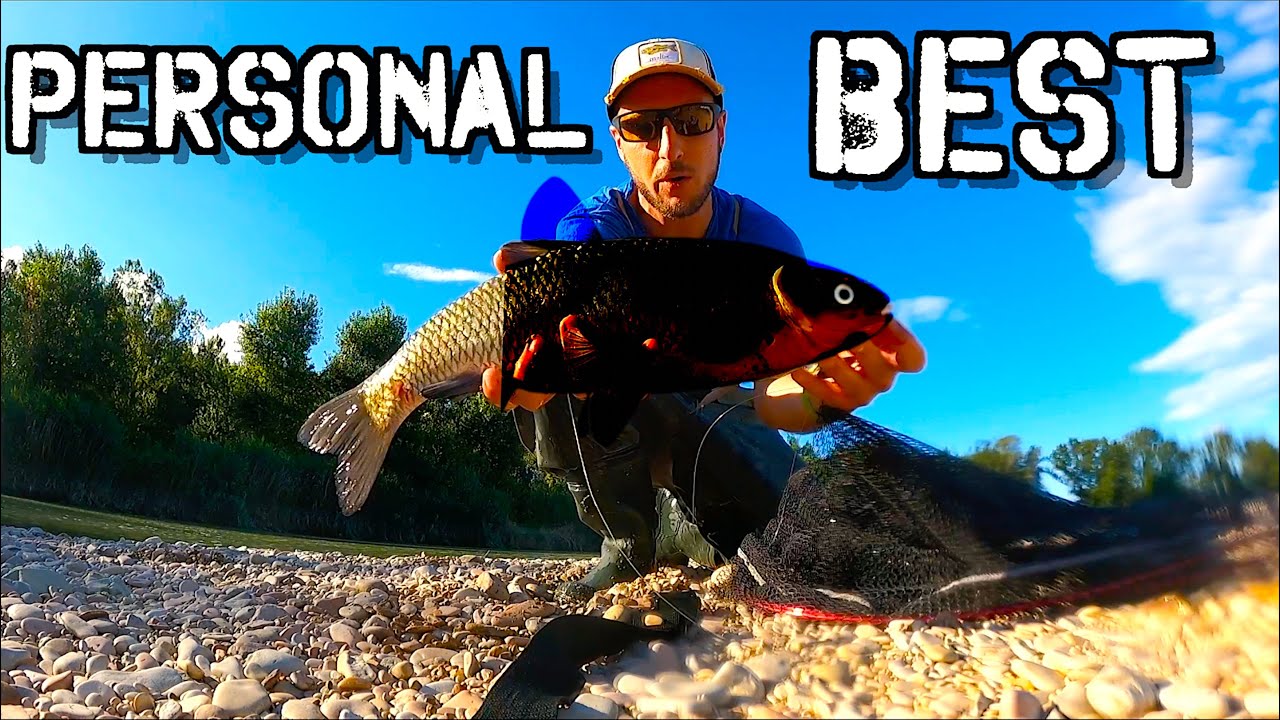 Personal Best INASPETTATO e l'Emozione PIÙ FORTE che ho Avuto a Pesca! Spinning in Lago ai Predatori