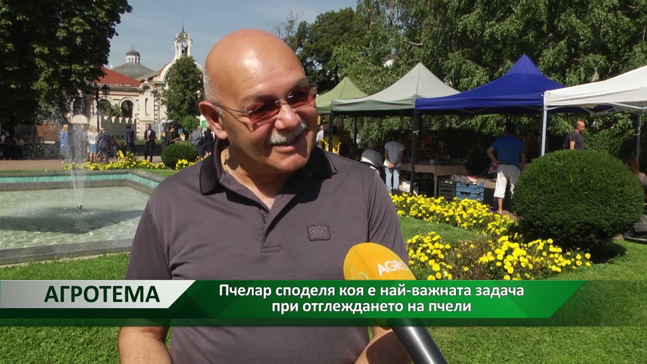 Агротема: Пчелар споделя коя е най-важната задача при отглеждането на пчели, автор: С. Димитрова