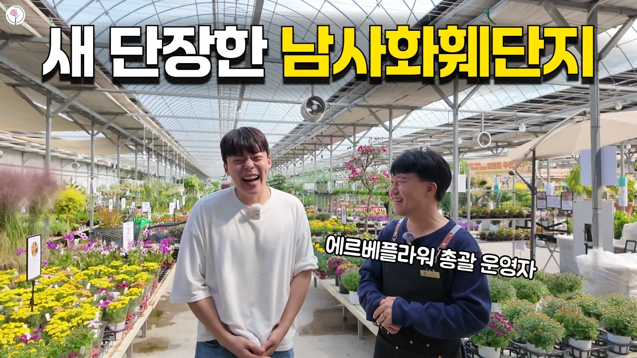 남사 에르베플라워는 더 예뻐졌어요. 총괄이사님께 배우는 식물 관리 팁까지!