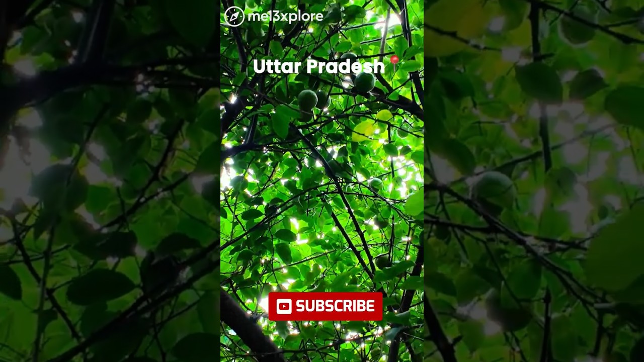 Inside India's Most Unusual Village