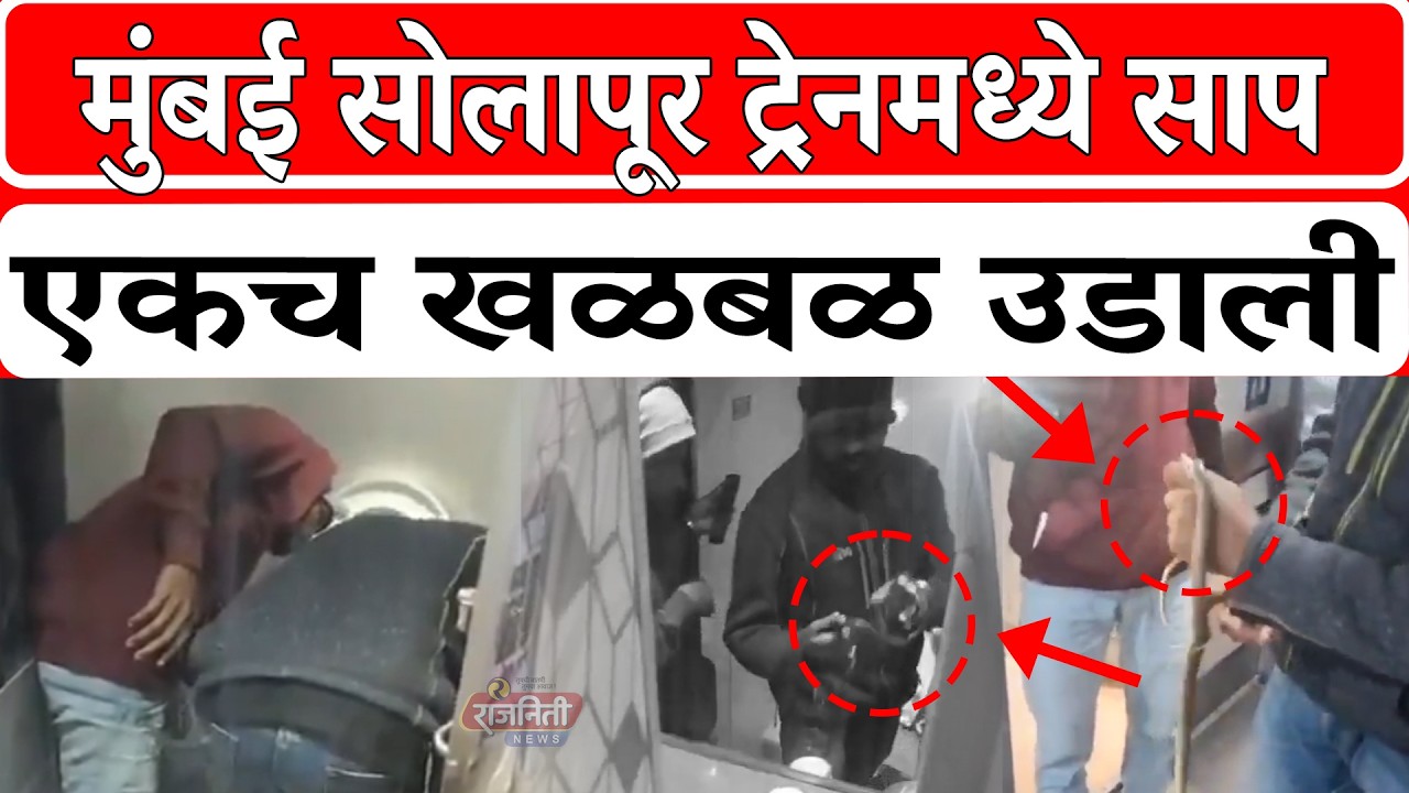 Solapur Railway News : मुंबई सोलापूर ट्रेनमध्ये साप, एकच खळबळ उडाली। Rajniti News