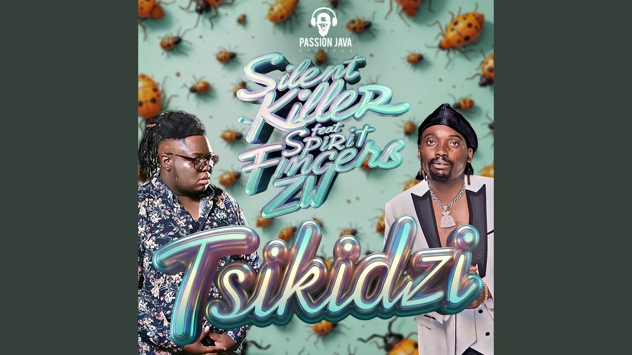 Tsikidzi (feat. Spirit Fingerz ZW)