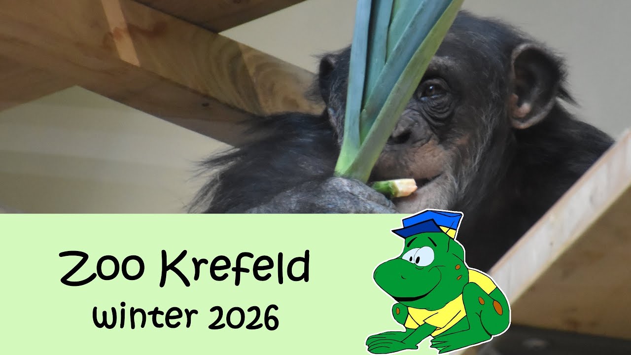 Zoo Krefeld, Winter 2026 (Nieuw: Artenschutz Zentrum Affenpark)