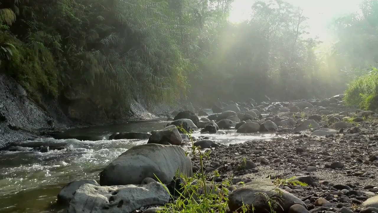 Be Still Before God and Feed on His Promises and Prophecies (Instrumental)