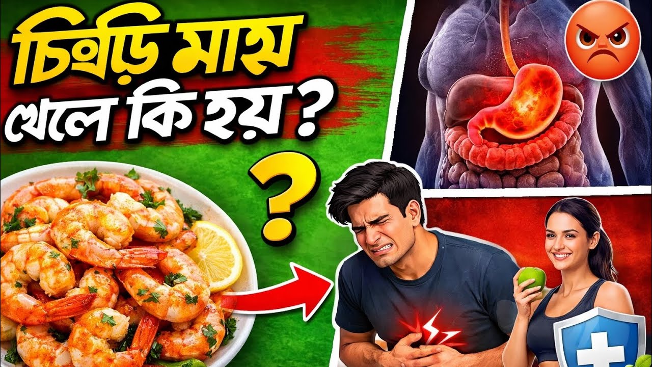 চিংড়ি মাছ খেলে কি হয়? উপকারিতা না ক্ষতি | Shrimp Fish Side Effects Bangla