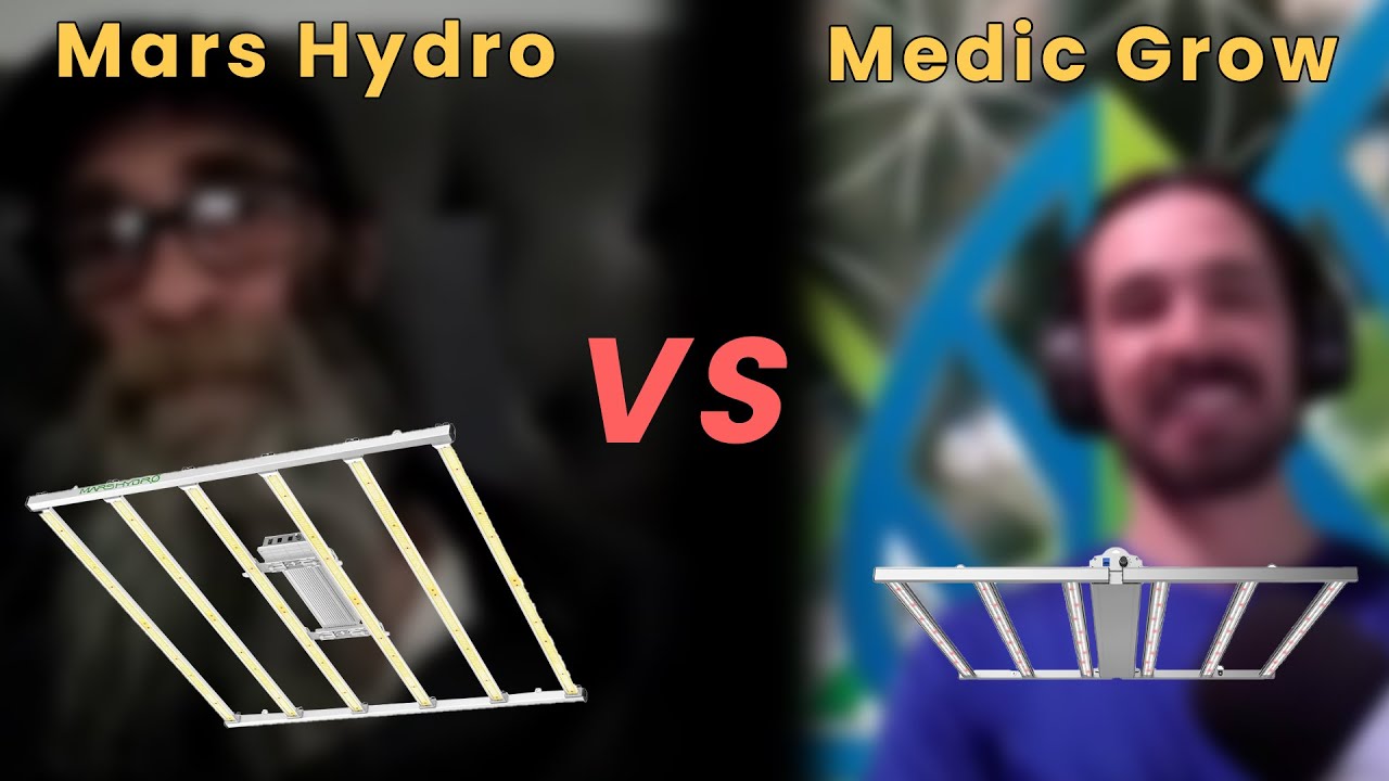 Mars Hydro против Medic Grow, какой из них лучше?