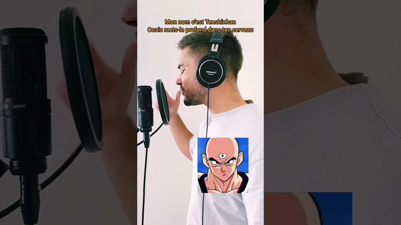 Que donneraient les combattants de la Z team en tant que RAPPEURS ?