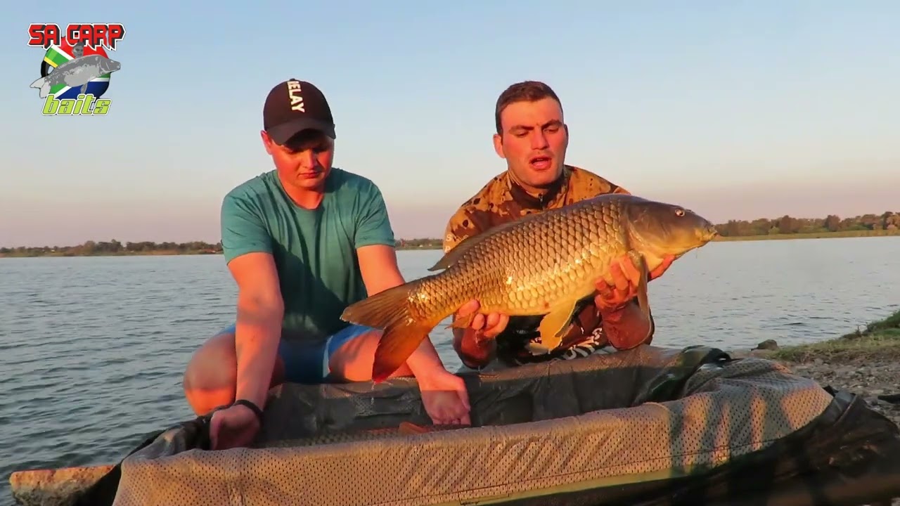 Spesie hengel vir groot karpe by welkom pan