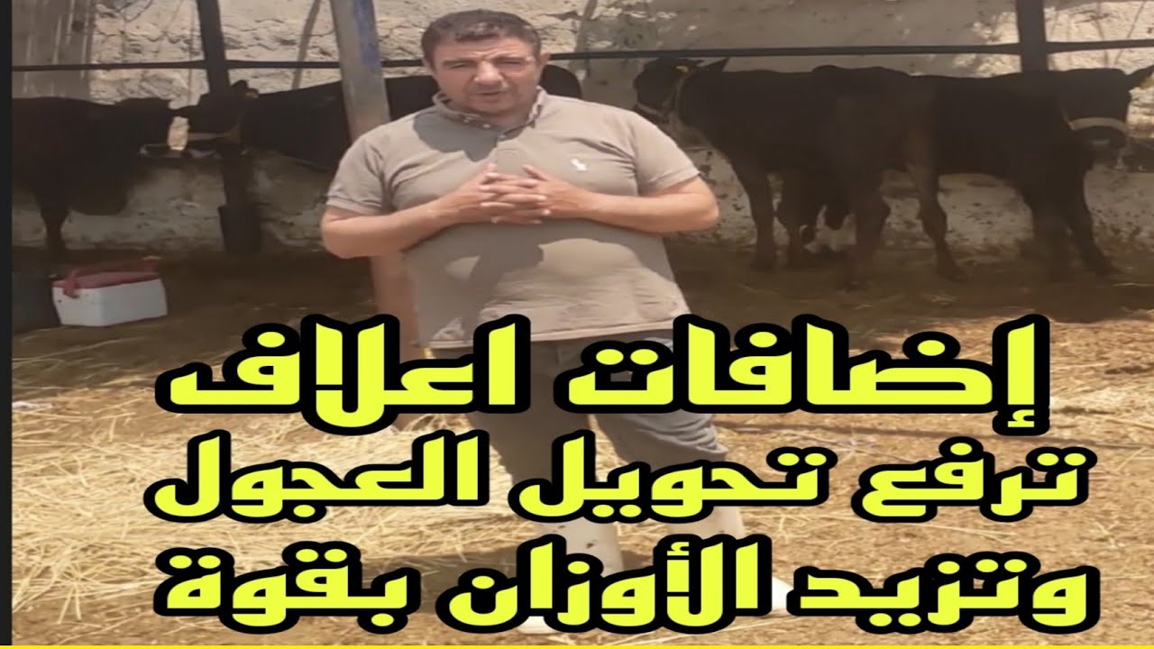 د.السيد الطوخي..لو عايز  ترفع معدل التحويل الي 2 ك. في اليوم يبقي اعرف اسرار إضافات الاعلاف الاعلاف