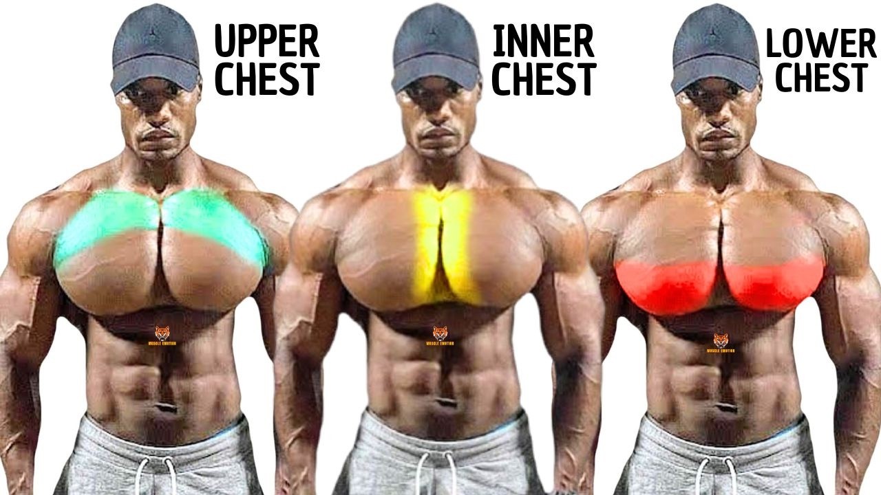 TOP 3  INNER, LOWER AND UPPER CHEST WORKOUT  WITH DUMBBELLS BARBELL CABLE AND MACHINE  AT  GYM
