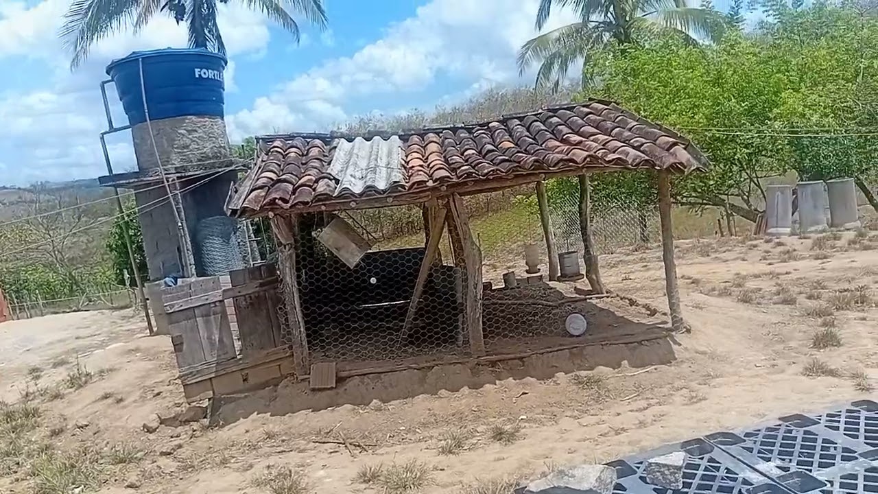 Minha virada de ano novo foi agui no meu sitio foi muito maravilhoso 