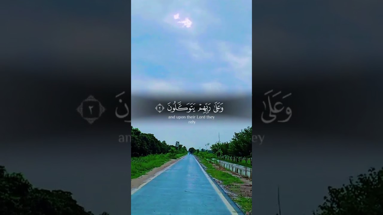 Tilawats best tilawat world best recitor besttilawat #howtolearnmadaniqaidaeasily #unfrezzmyaccount