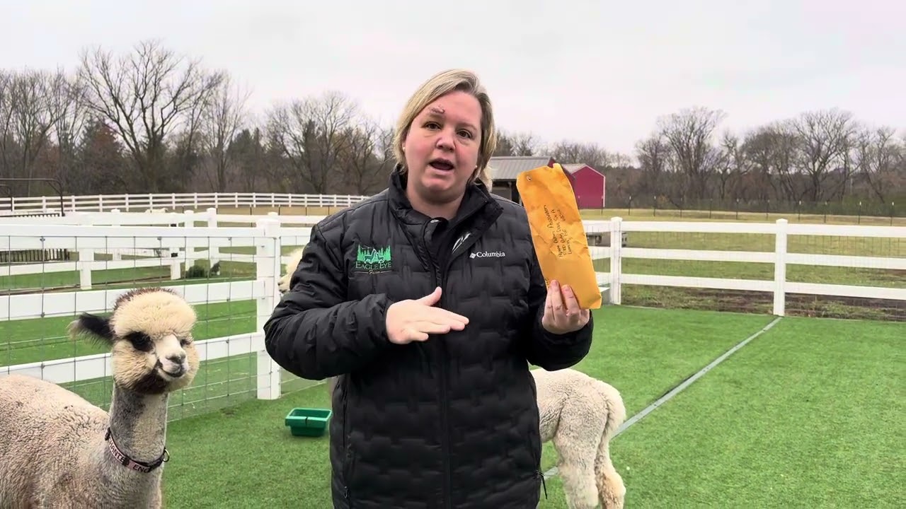 Alpaca registration. The paperwork side of things.