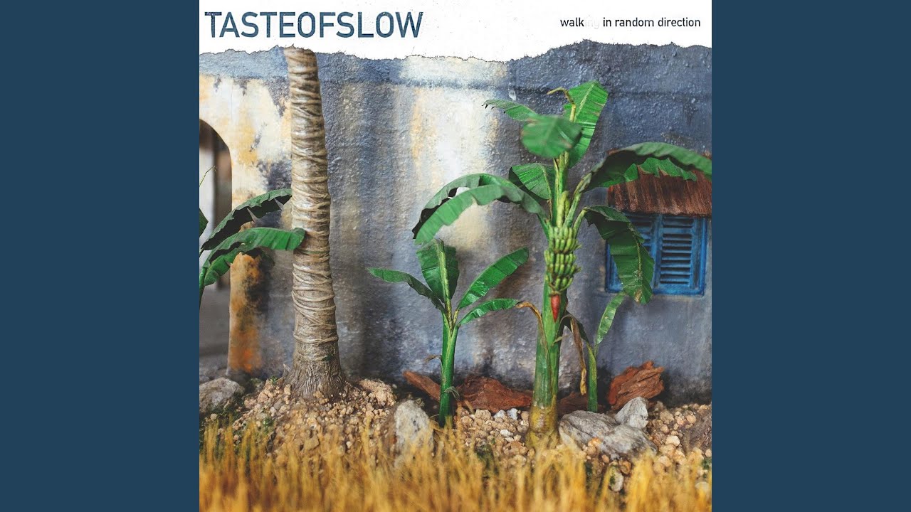 Taste of Slow Walk in Random Direction