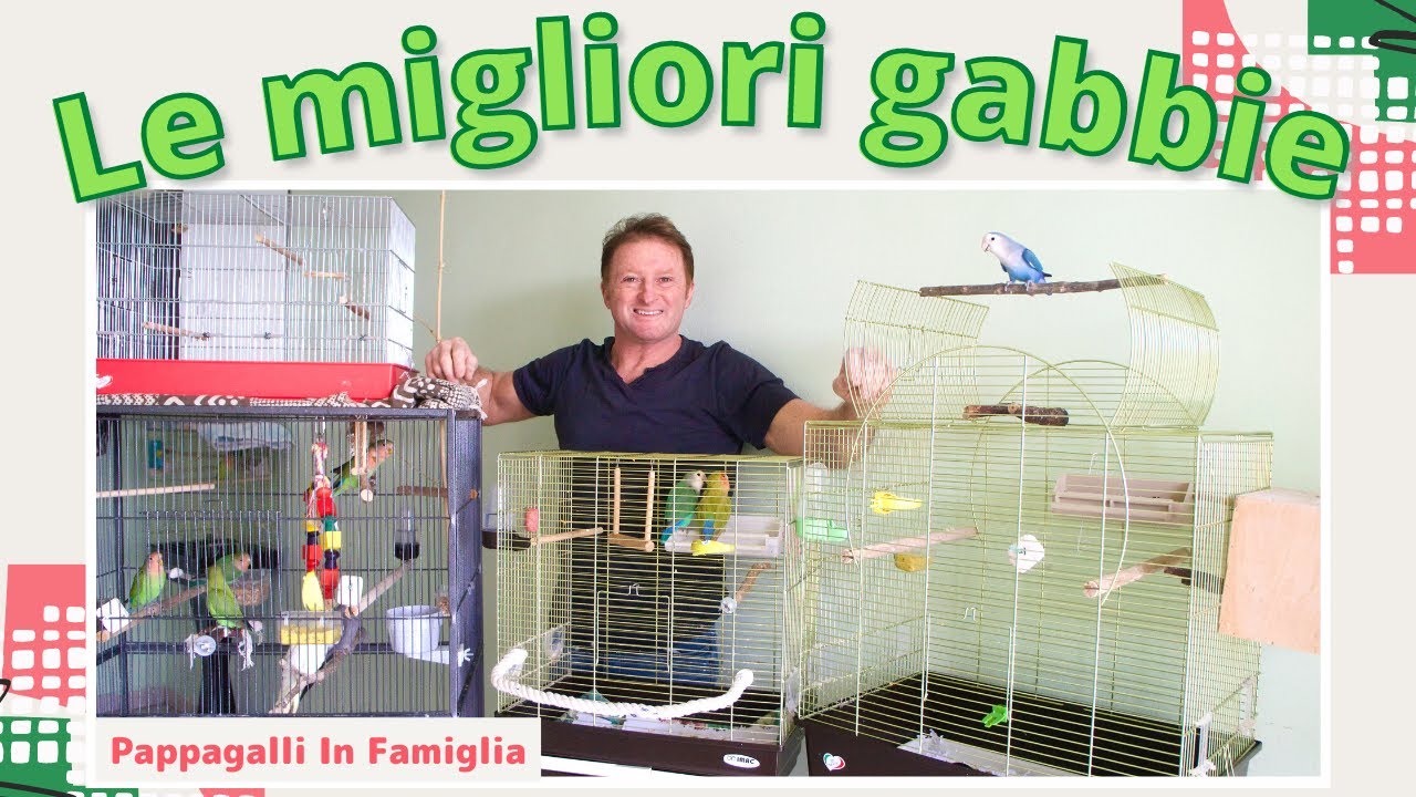 Le migliori gabbie per i pappagalli