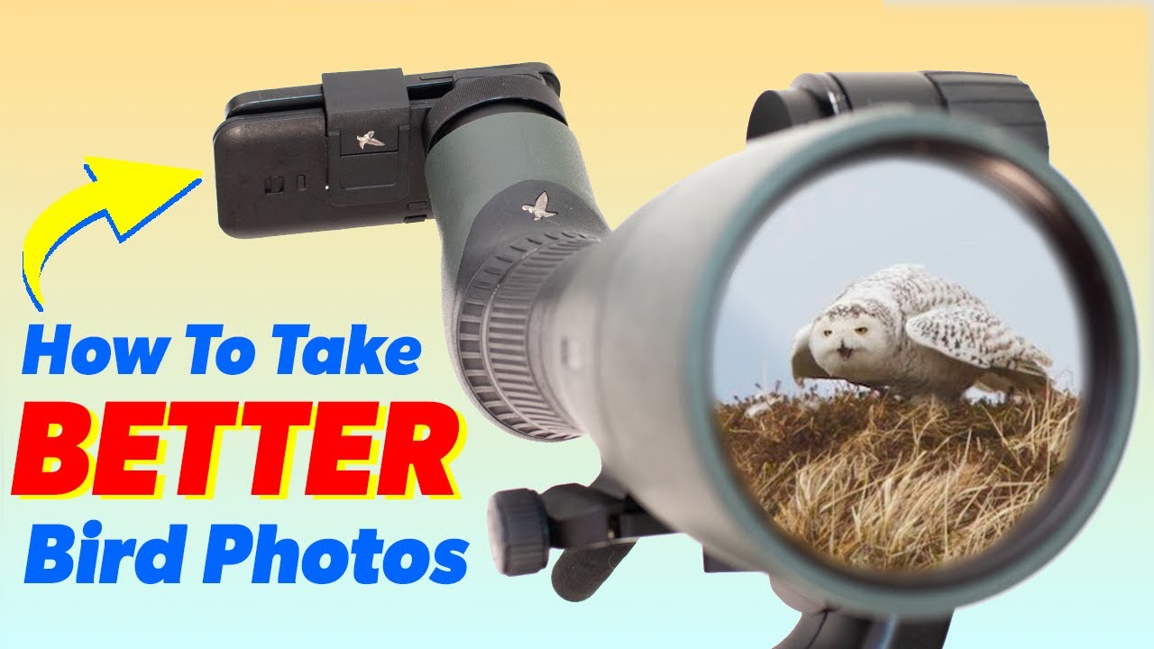 Complete Guide to Digiscoping