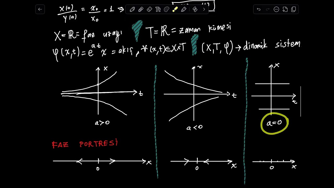 Dinamik Sistemler 4 – Faz Portresi ve Denge Noktası (ẋ = a x)