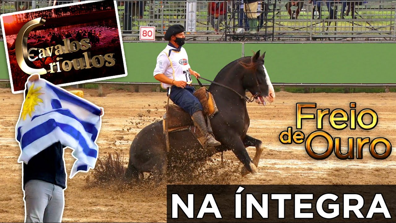 Especial Freio de Ouro 2020