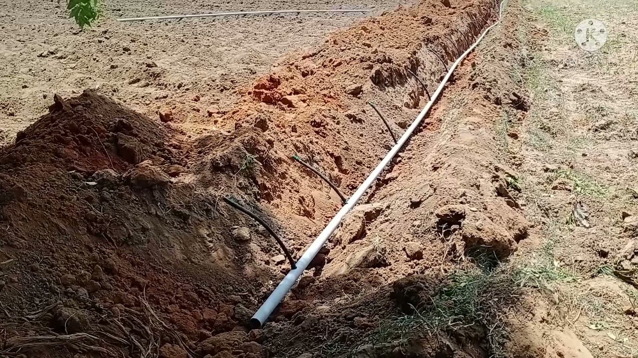 Drip Irrigation technology for sugarcane ( india )  | கரும்பு சாகுபடி