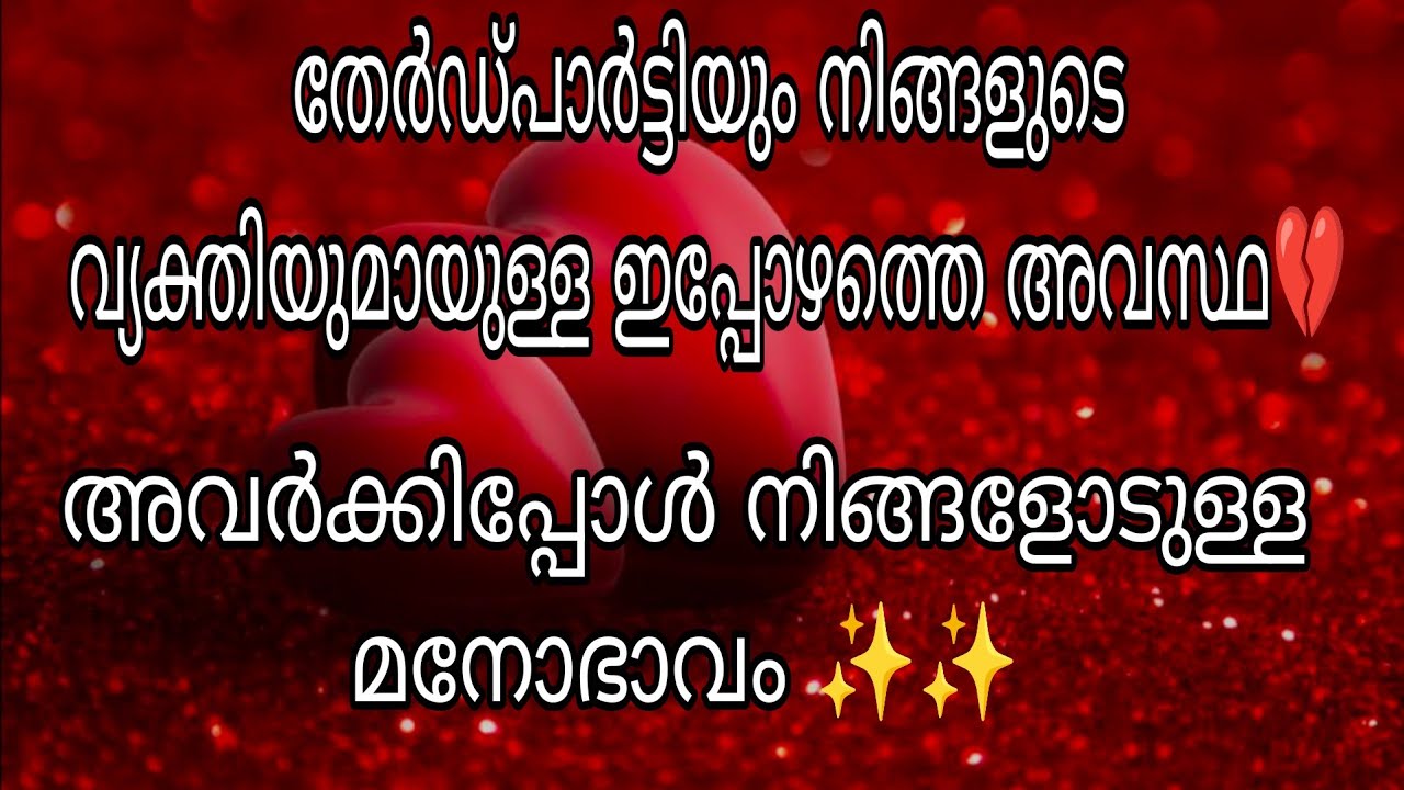 തേർഡ്പാർട്ടിയും നിങ്ങളുടെ വ്യക്തിയുമായുള്ള ഇപ്പോഴത്തെ അവസ്ഥ💔അവർക്കിപ്പോൾ നിങ്ങളോടുള്ള മനോഭാവം ✨✨