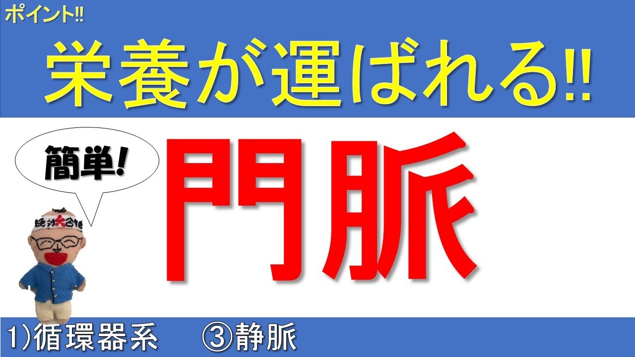 門脈【解剖生理学Ⅰ 1)循環器系/③静脈】
