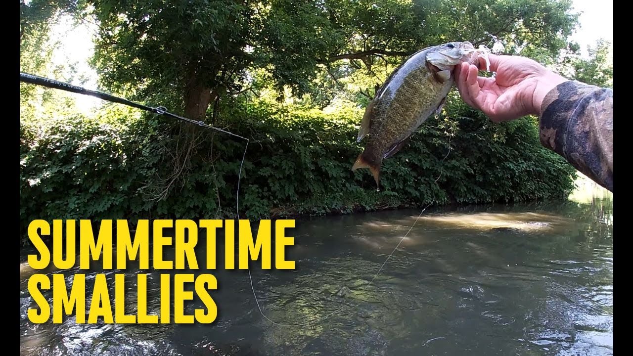 Summertime Smallmouth on BFS gear!