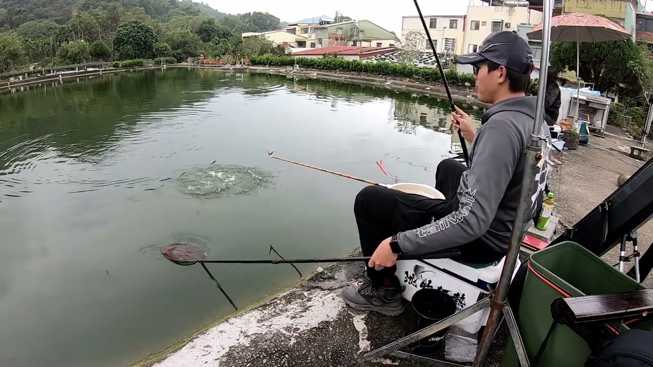 [池釣福壽魚]-[千樂休閒池]:冬天魚嘴貓，拉力不輸抓魚池，修練基本工好去處