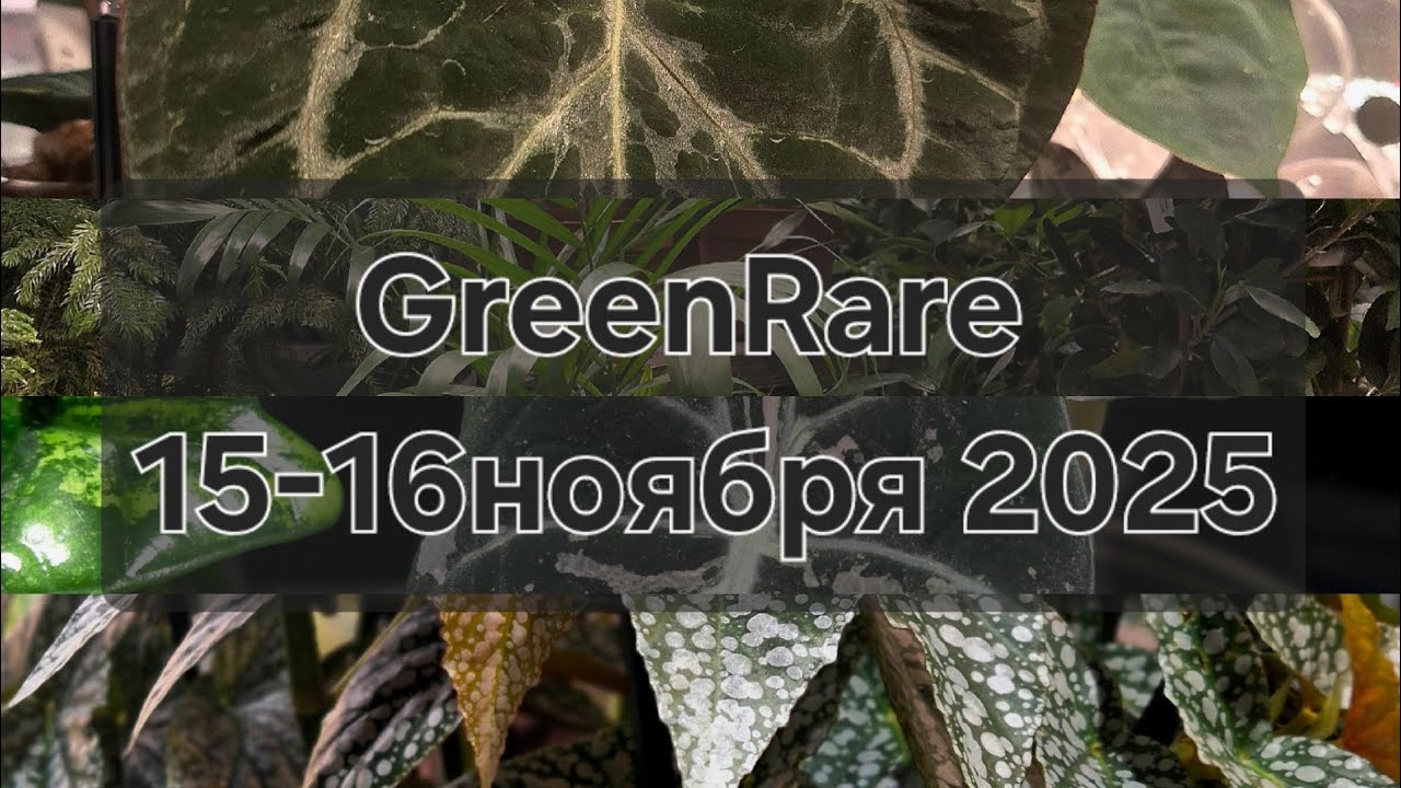 Выставка Greenrare 15-16 ноября 2025