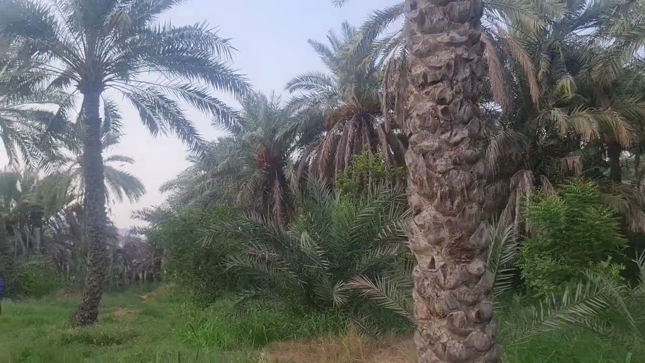 Madha oman#hikingadventures #wadioman