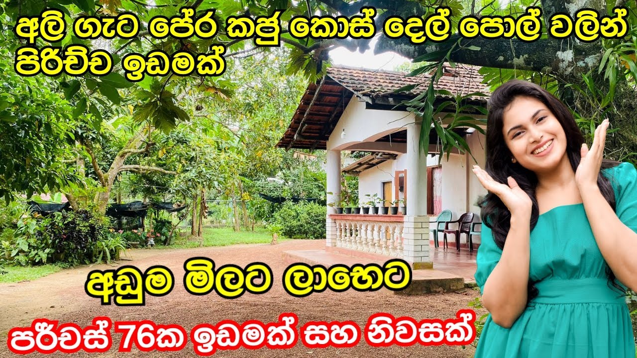 පලතුරු රැසකින් යුක්ත වූ ඉඩමක් සහ නිවසක් | සුන්දර පරිසරයක #acland