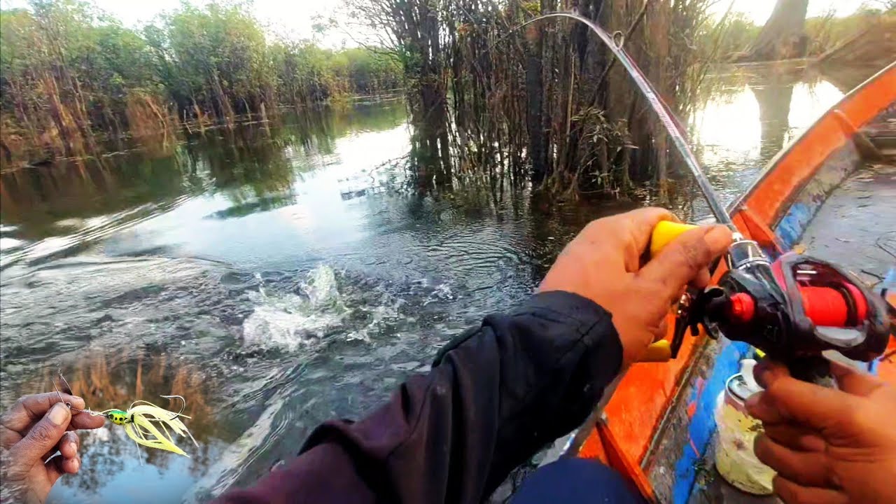 UMPAN INI ANTI BONCOS UNTUK MANCING CASTING IKAN KERANDANG 