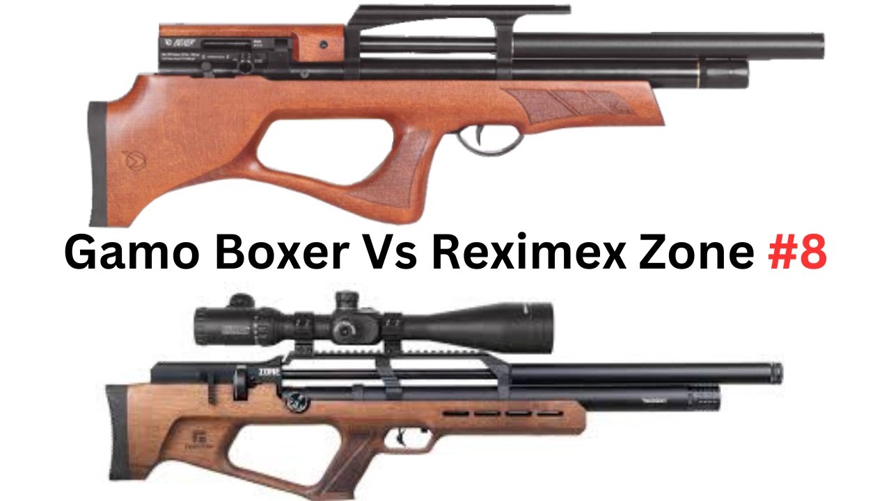 Reximex Zone Vs Gamo Boxer