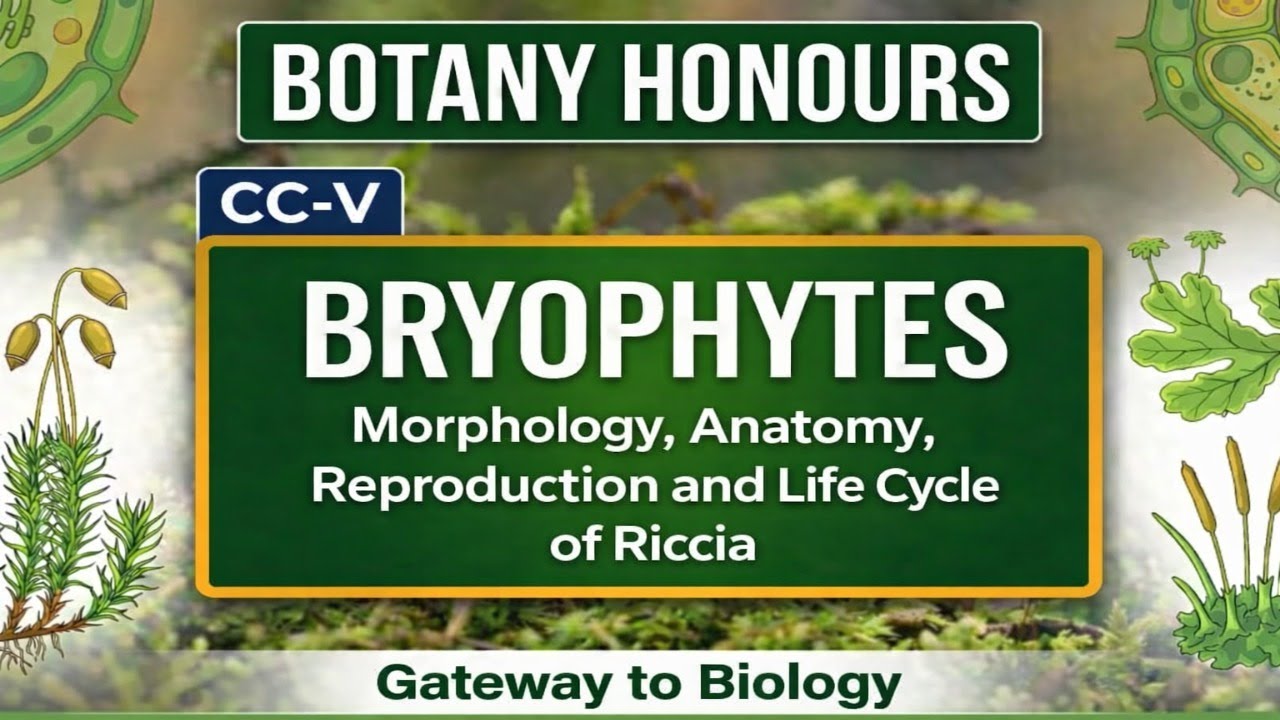 Reproduction and Life Cycle of Riccia | Part-7 | Archegoniate | Botany Honours@gitasbiology