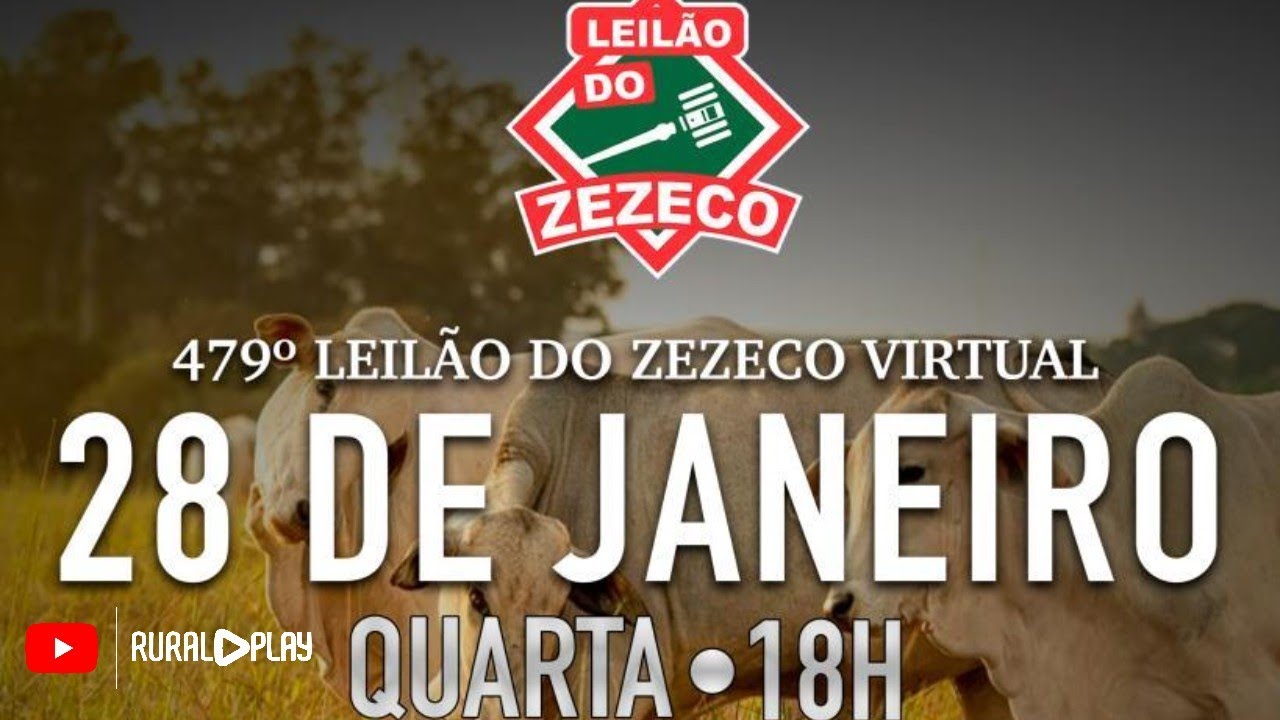 479º LEILÃO DO ZEZECO VIRTUAL - MIRANDA/MS - RURAL PLAY