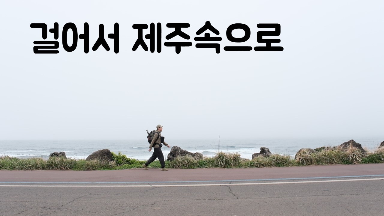 제주도 뚜벅이 여행코스 추천