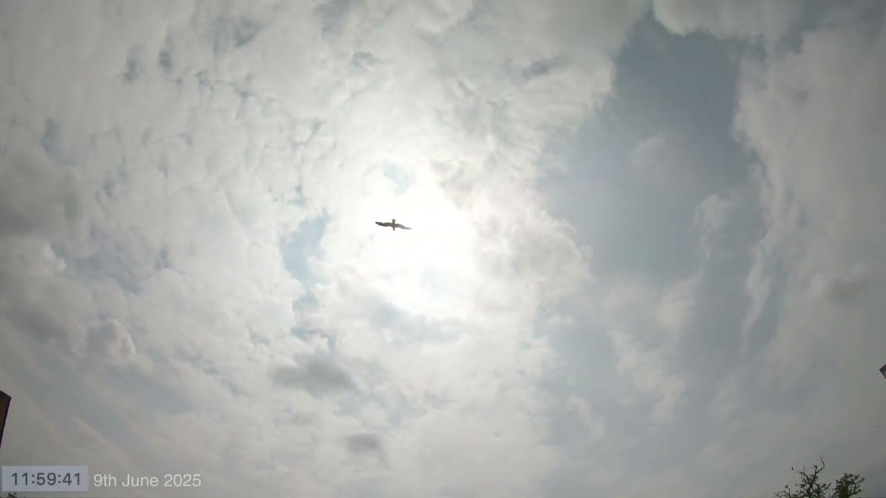 Day Time Lapse 9th June 2025