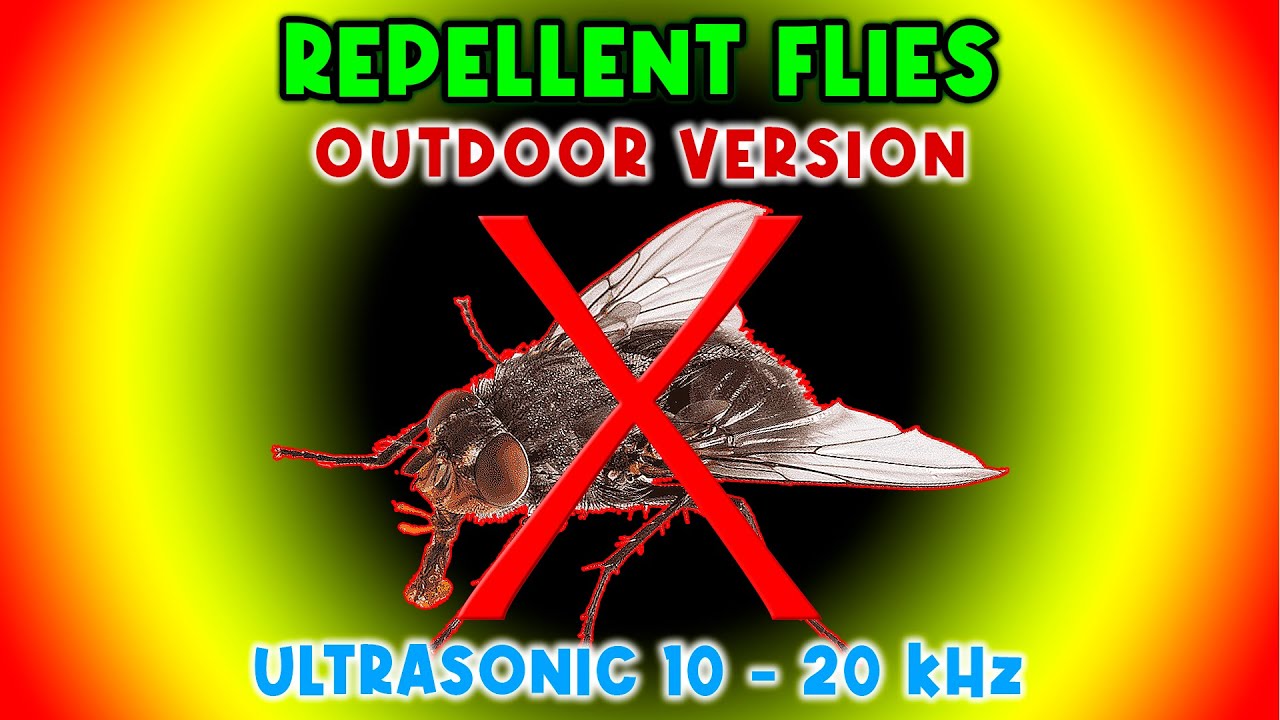ODSTRASZAJĄCY DŹWIĘK PRZECIW OSZUSTOM ⛔🦟 TRZYMA MUCHY Z DALA - DŹWIĘK ULTRADŹWIĘKOWY