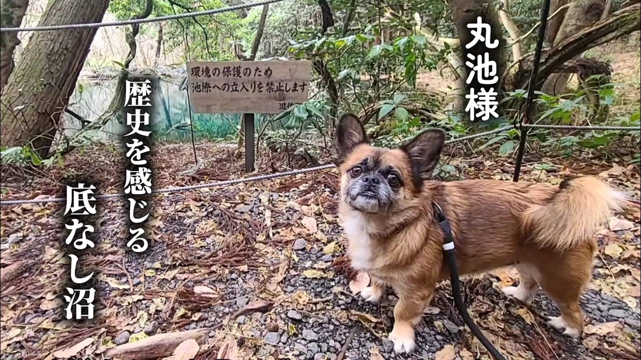 自然保護区を見守るサブ君