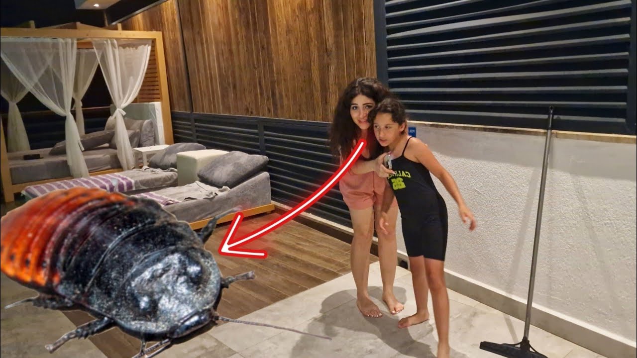 ON A PEUR D’UNE BÊTE C’EST LE BORDEL A LA VILLA #sistersalipour #vlog #vacances