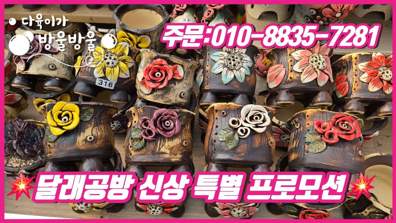 💥특별 프로모션💥 달래공방 신상화분