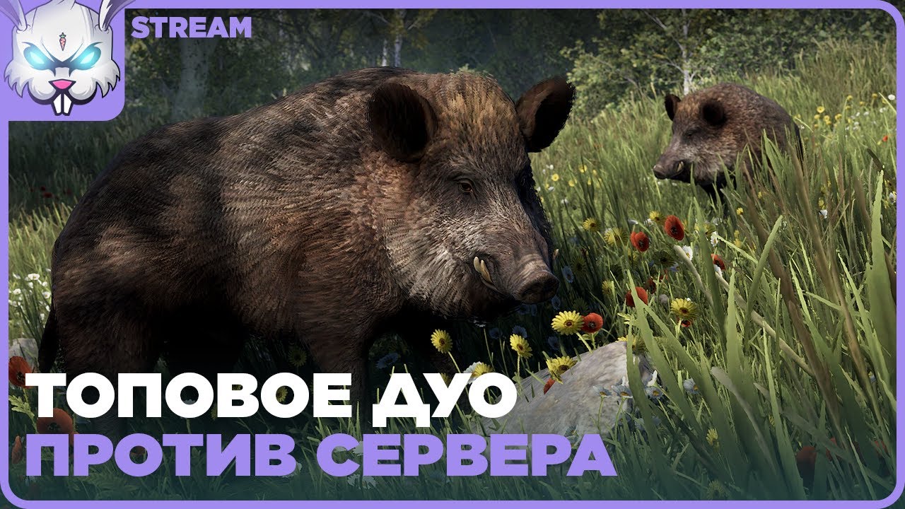 Дамское ДУО. Придет ли сегодня Вилли ● RUST