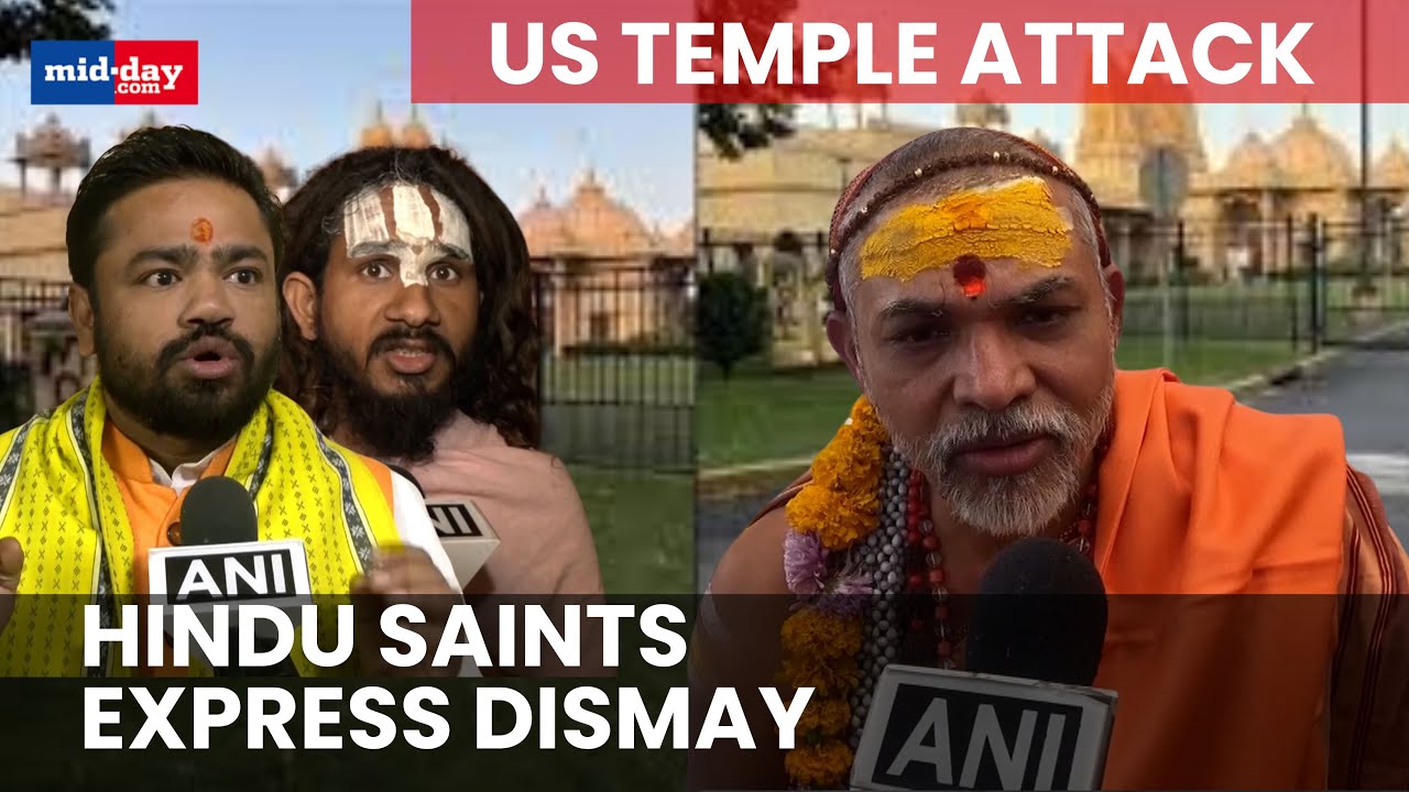 US Temple attack: Hindu saints slam vandalism of Hindu Temple in US - Watch video