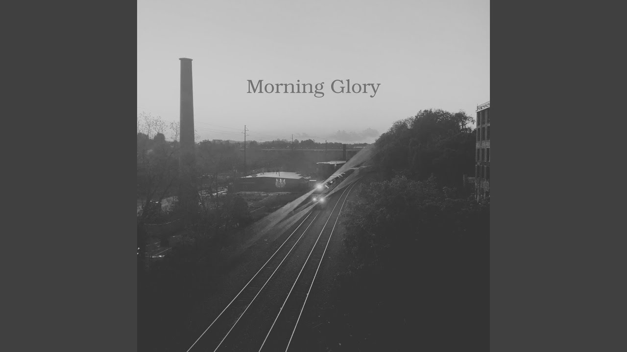 Morning Glory