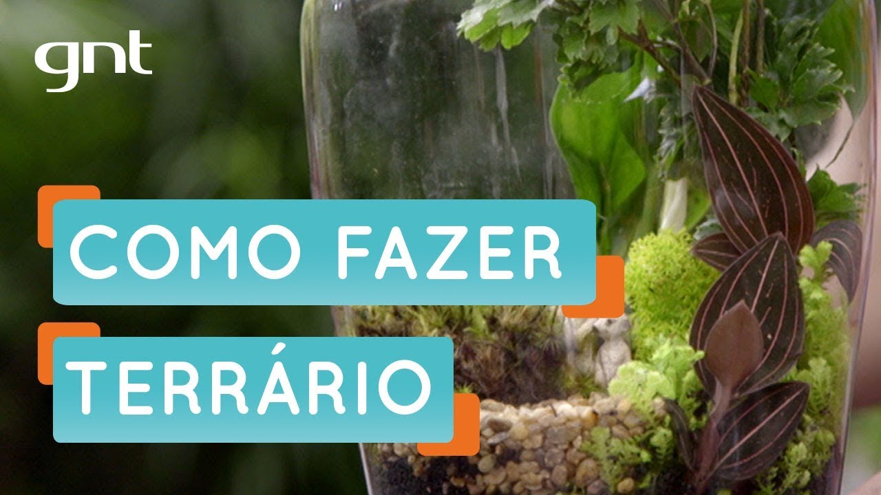 Como fazer um terr&aacute;rio | Jardinagem | Mais Cor, Por Favor | Carol Costa