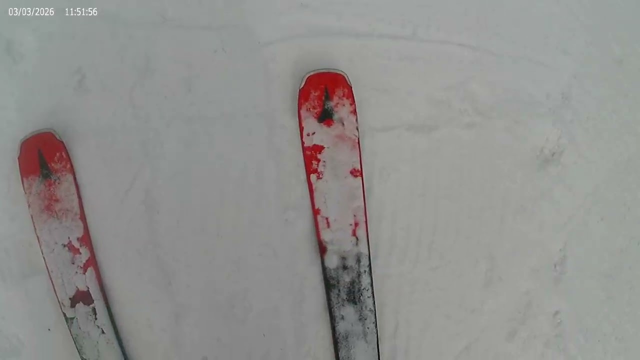 Gunstock 3/3/2026
