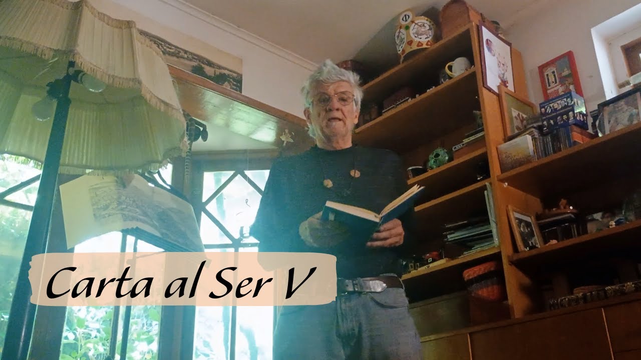 Carta al Ser V
