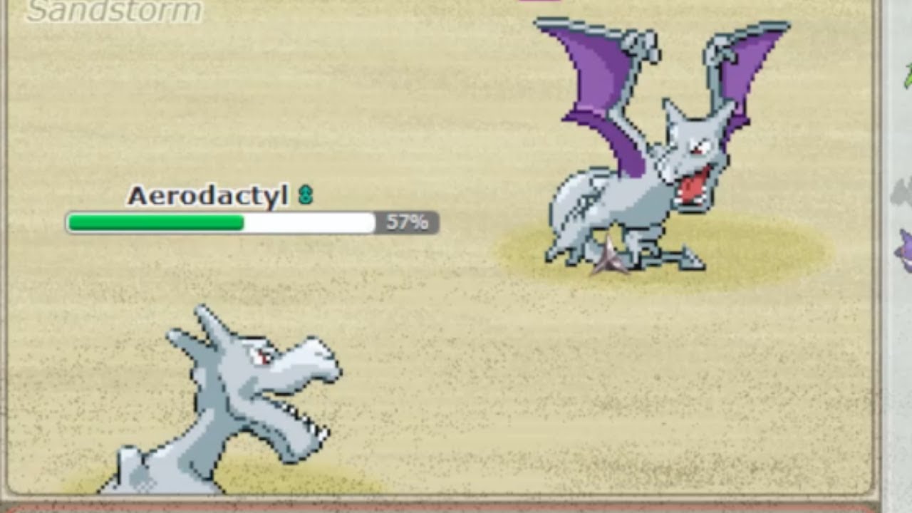 Aerodactyl Vs Aerodactyl