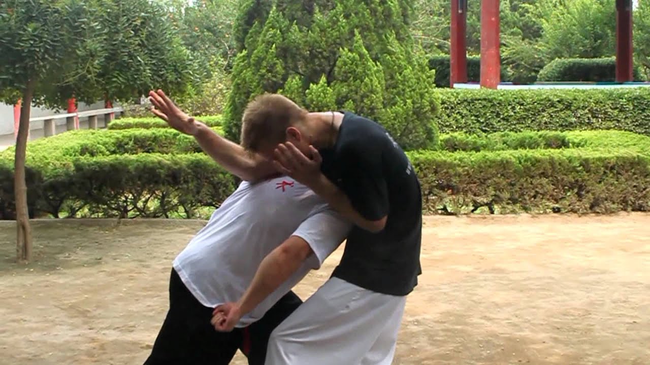An Wushu - Ba Ji Kao Zhuang