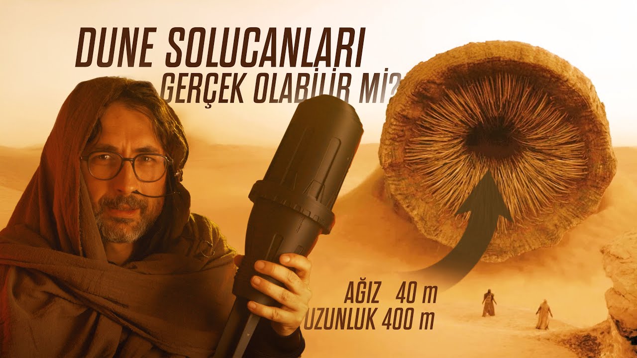 Dev kum solucanları gerçekten olabilir mi?